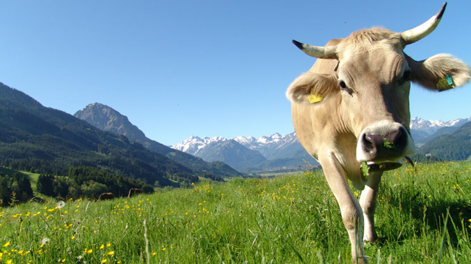 Bergluft-macht-schlank Bergluft macht schlank - © Thomas Neumahr - Fotolia