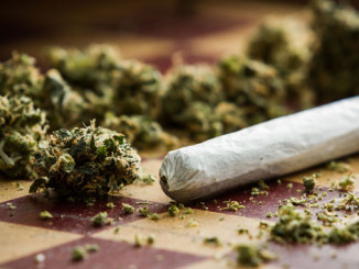 Dick durch Cannabis - © wollertz