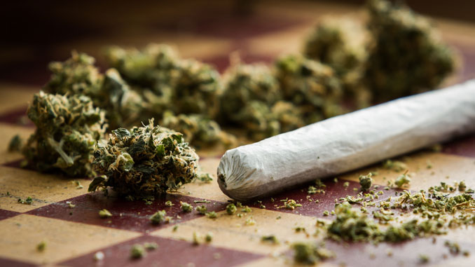 Dick-durch-Cannabis Dick durch Cannabis - © wollertz