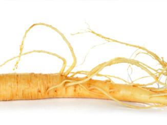 Ginseng steigert Lust - © khumthong