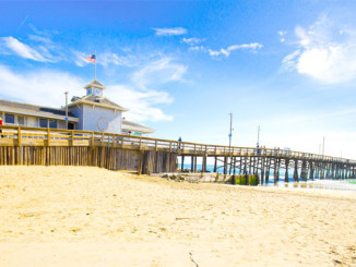 Hai-Angriff - © littleny - Fotolia