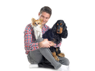 Hund im Büro mindert Stress - © cynoclub - Fotolia