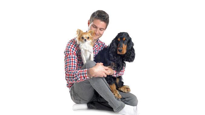 Hund-im-Buero-mindert-Stress Hund im Büro mindert Stress - © cynoclub - Fotolia