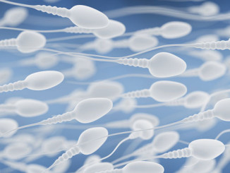 Spermakonsistenz - © Tatiana Shepeleva
