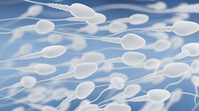 Spermakonsistenz - © Tatiana Shepeleva