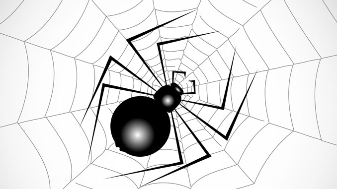 Spinnenphobie Spinnenphobie