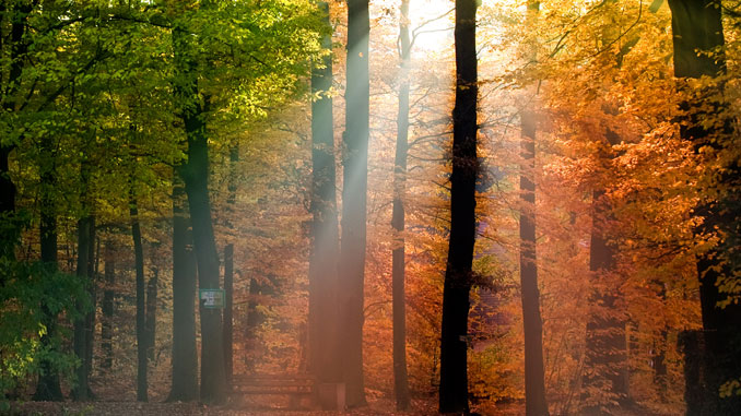 Wenn-das-Licht-fehlt Wenn das Licht fehlt - © Miredi - Fotolia