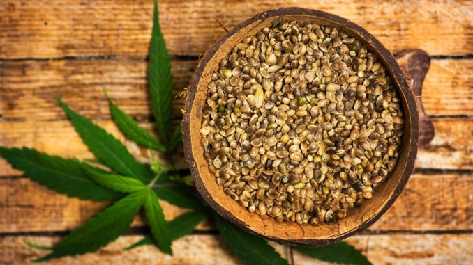 cannabis-samen-kaufen Cannabis Samen kaufen | Foto: © creativefamily - stock.adobe.com