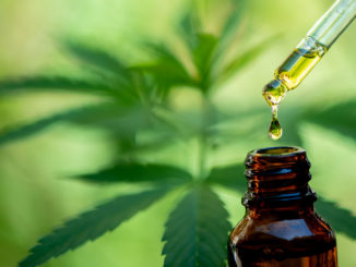 Besser trainieren mit CBD | Foto: © EKKAPON - stock.adobe.com