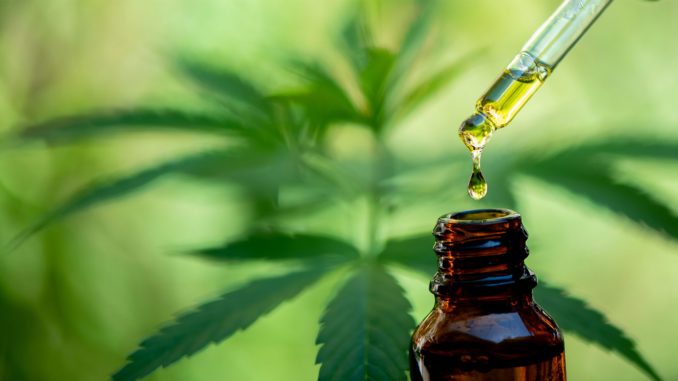 Besser trainieren mit CBD | Foto: © EKKAPON - stock.adobe.com