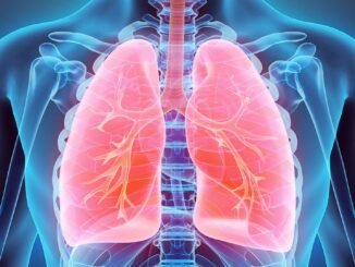 Fakten über die Lunge | © yodiyim - stock.adobe.com