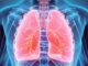 Fakten über die Lunge | © yodiyim - stock.adobe.com